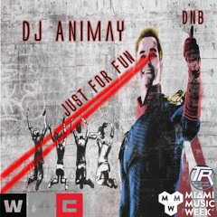 *Free DL* DJ Animay - Just for fun - DNB
