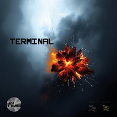 Terminal