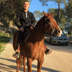 الشهيد يوسف خولي-مخيم طولكرم/الفنان محمد نواهضة