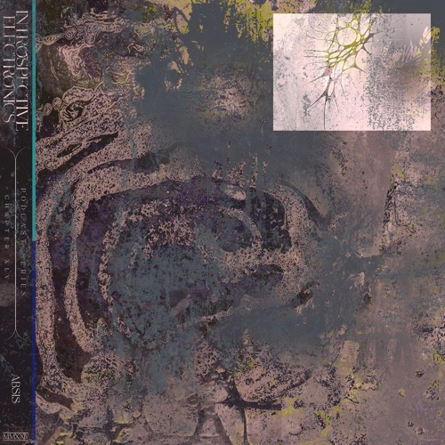 Podcast Series 45 | ABSIS