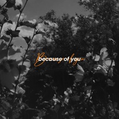 lxxcy!, gincuu - because of you — sznssaa flip