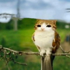 New Soul #JerseyClub (+Chasenopup +Samu)