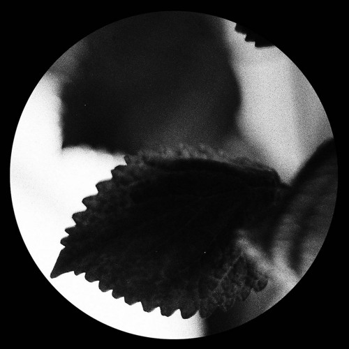 Premiere: Ritual Cycles - Collapsing Singularity [RC02]
