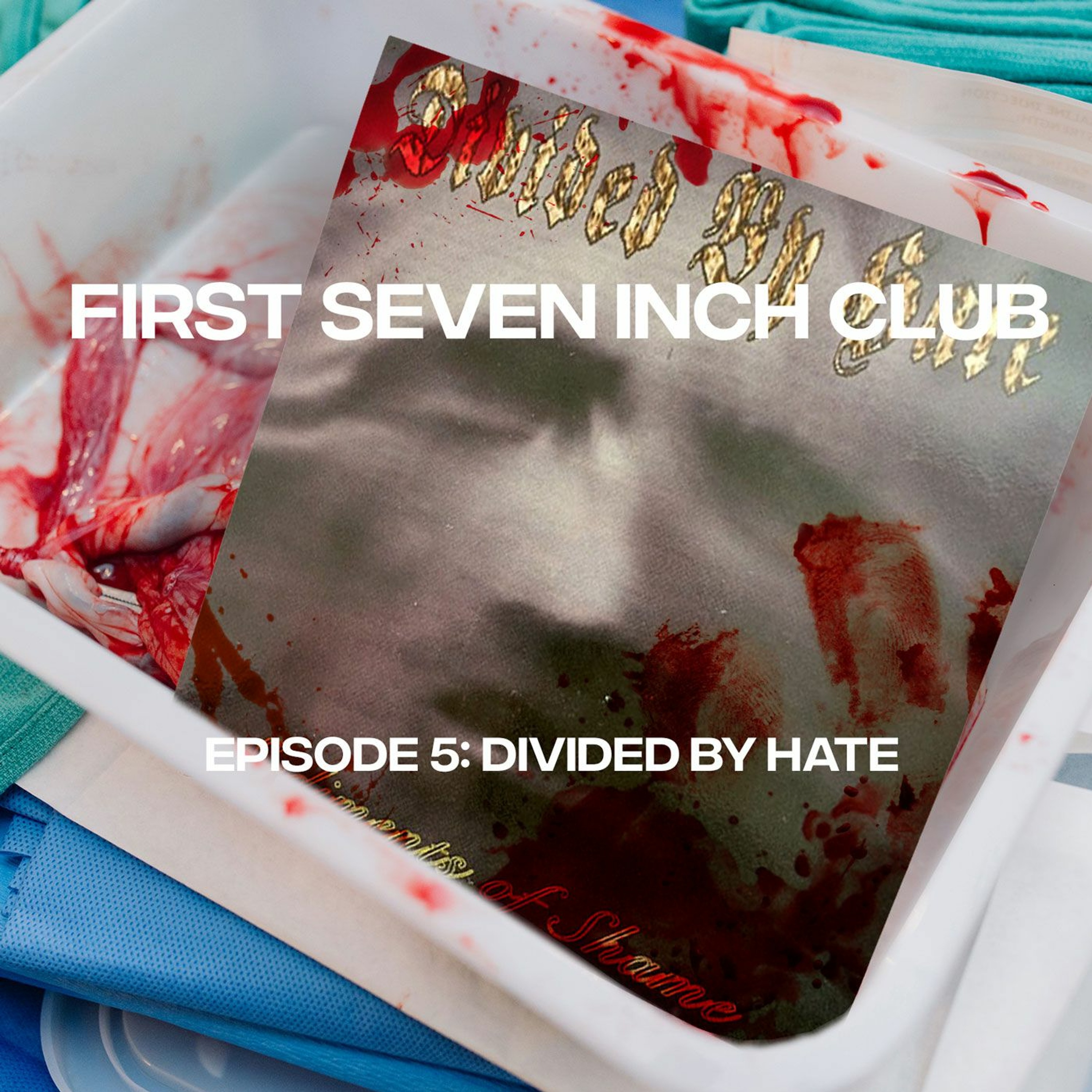 First Seven Inch Club - Episode 5 - Divided By Hate episode artwork