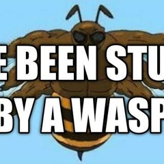 IVE BEEN STUNG BY A WASP! - remix