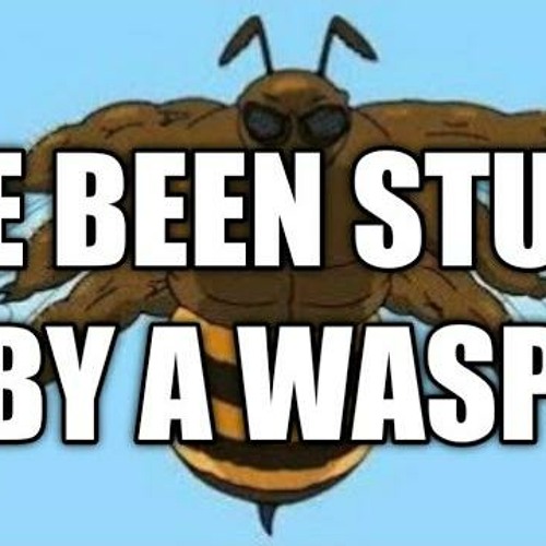 this is a wasp meme