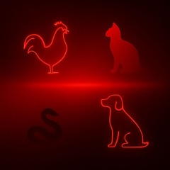 Vidani - Folded Light