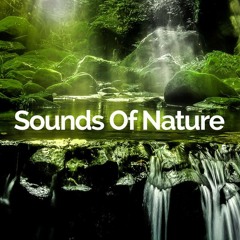 Stream 