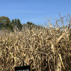 Lupin Guap$ki - Painted (Prod. Slygster)