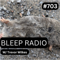 Bleep Radio #703 - Trevor Wilkes [Missing Member!]