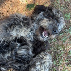 Best Friend (prod. Za)