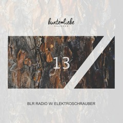 BLR RADIO 13 • ELEKTROSCHRAUBER