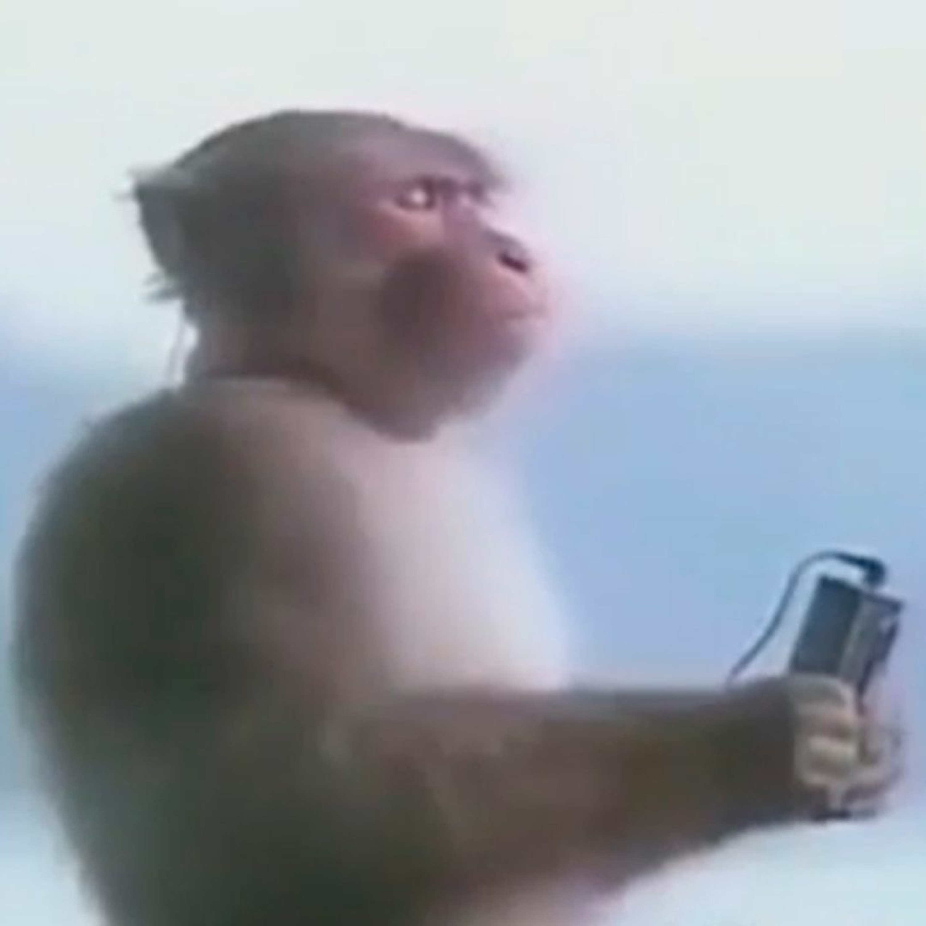 MC Timbu