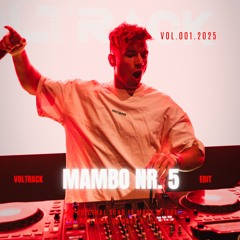 MAMBO NR 5 (VOLTRACK EDIT) (FILTERED)