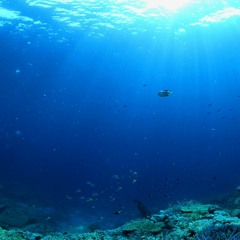 Ocean Inside