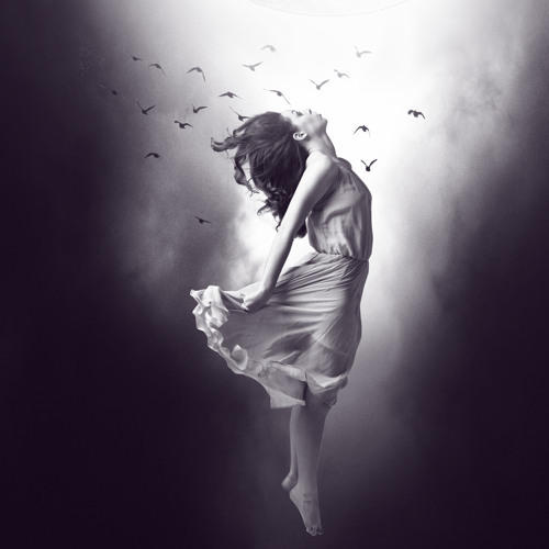 You Will Go Free (Tonio K Cover)