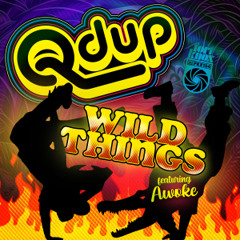 Wild Things ft. Awoke (Radio Mix)