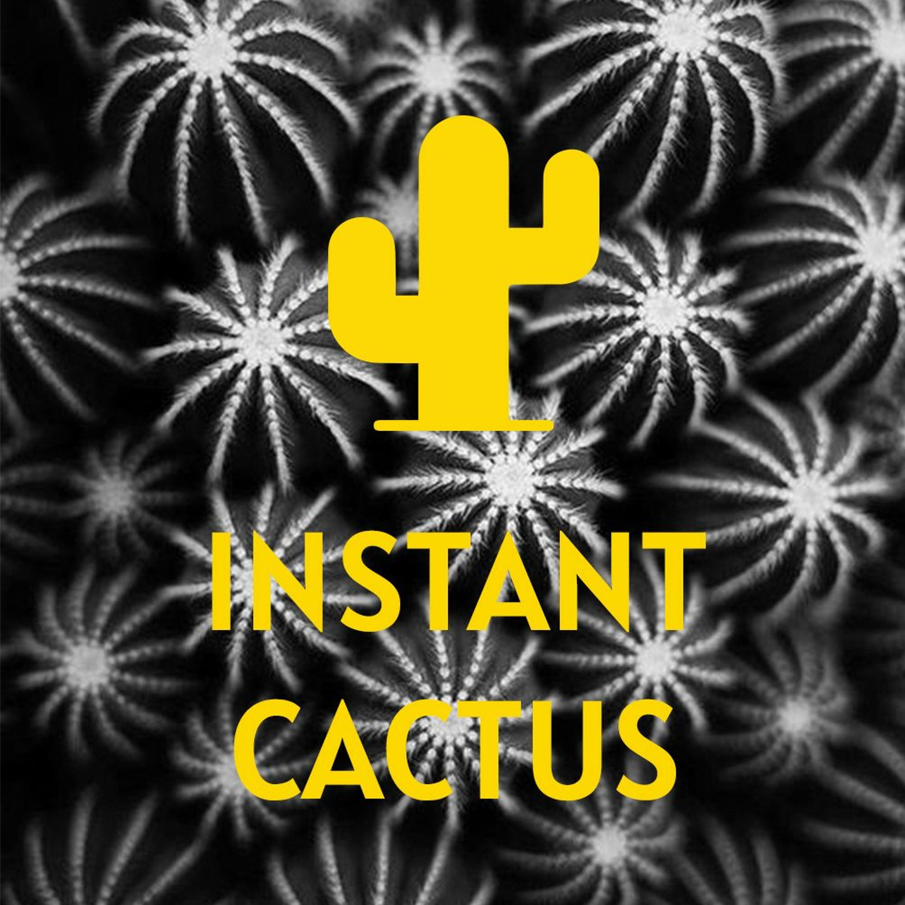 Instant Cactus