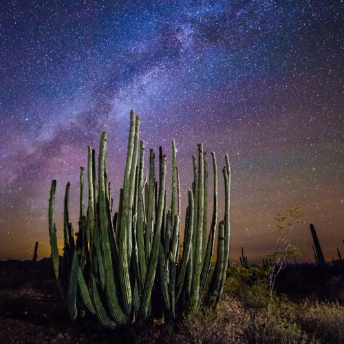 Stream Bandera Road 2 by Eweezy | Listen online for free on SoundCloud