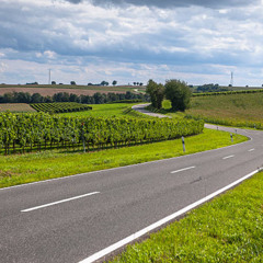 Passer ma route (Maxime Le Forestier)