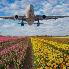 Holczy km Ready - Redady to H