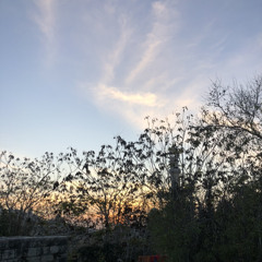 تسجيل جديد ٦٢٠