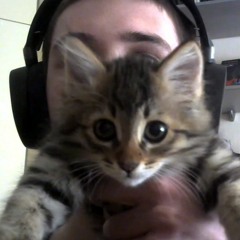 zee! - HATE cover Русская Адаптация Ненавижу Негров ma#con Безусловный  Фрислайл