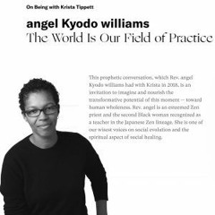 The World is Our Field of Practice - On Being w Krista Tippett 1-2.mp3
