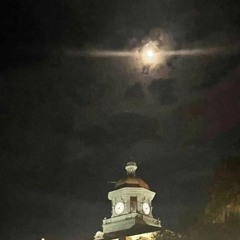 Vlorich - Did It Again