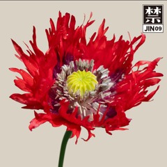 PREMIERE: Cosmo - Gentle Night [禁 JIN Records Taipei]