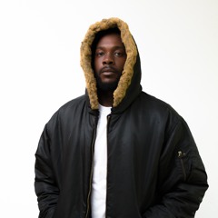 All the Fame (k.d.s.a)