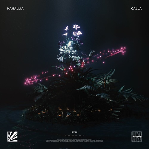 Kanallia - Calla