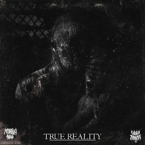 Liquid Morph - True Reality