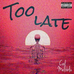 TOO LATE