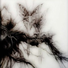 Kelly K