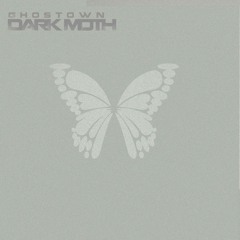 DARK MOTH