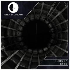Theory27 - Noir