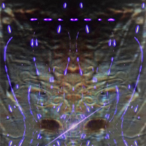 POLUCIA - ZYGOTA