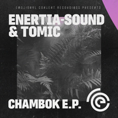 Enertia-Sound & Tomic - Into the Deep [Emotional Content Recordings]