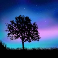 Your Face In The Stars