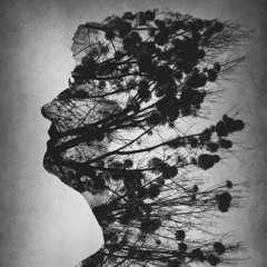 Essence of Life (2011)