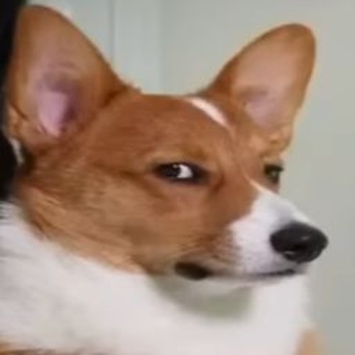 SoFaygo - Stay Dangerous