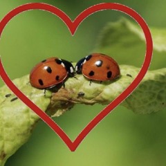 4 kai \⁠(⁠ϋ⁠)⁠/⁠♩