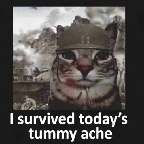 We Can Survive This (don't give up!)