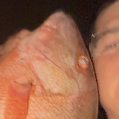 rasetrax - Snapper Fish