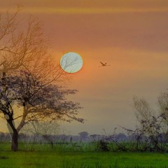 ស្រណោះដីខ្មែរ