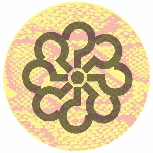 PREMIERE: Coyote/Quinn Lamont Luke - Think About It (Project Sandro Remix)