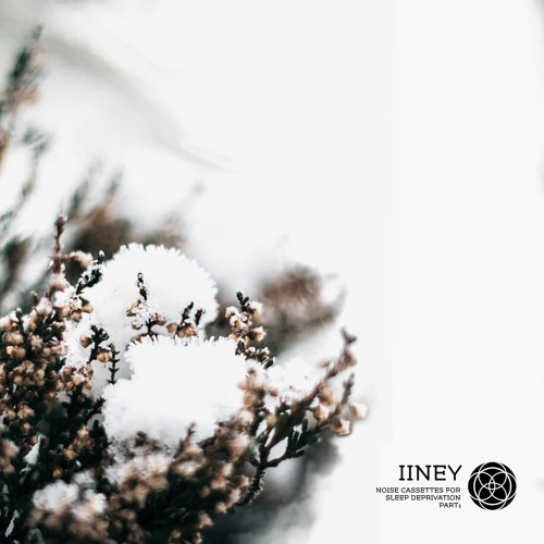 Iiney - Cassette08 (R.Hz Remix)