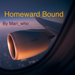 19  Homeward Bound By Mari Who