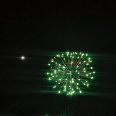 Midori - Malo Paulis